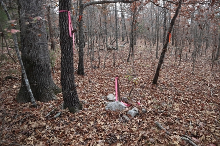 Ozarks Wooded Acreage With Road Frontage For Sale - image 15