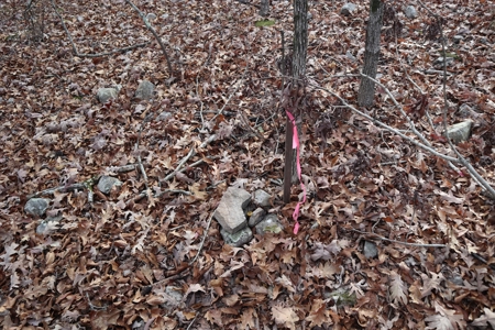 Ozarks Wooded Acreage With Road Frontage For Sale - image 24