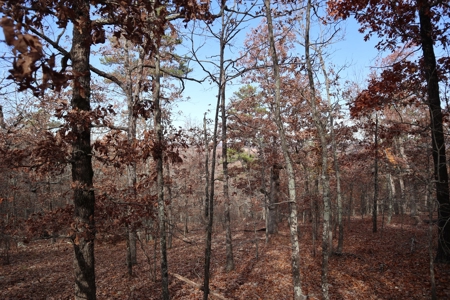 Ozarks Wooded Acreage With Road Frontage For Sale - image 26