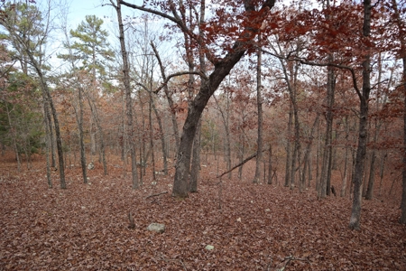 Ozarks Wooded Acreage With Road Frontage For Sale - image 20
