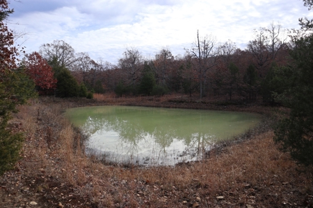 Ozarks Wooded Acreage With Road Frontage For Sale - image 8