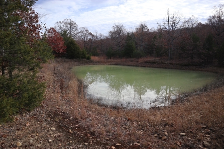 Ozarks Wooded Acreage With Road Frontage For Sale - image 9