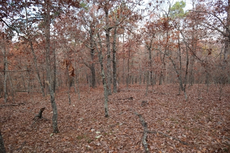 Ozarks Wooded Acreage With Road Frontage For Sale - image 27