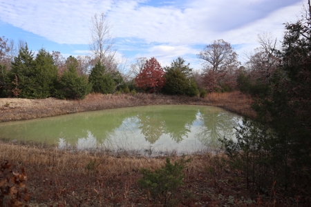 Ozarks Wooded Acreage With Road Frontage For Sale - image 10