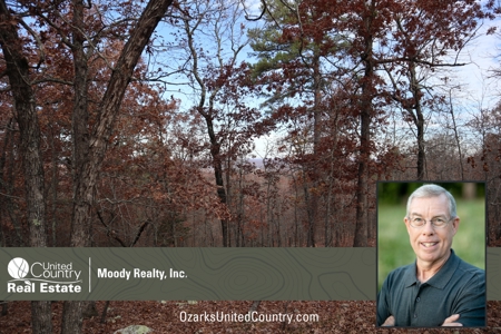 Ozarks Wooded Acreage With Road Frontage For Sale - image 31