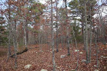 Ozarks Wooded Acreage With Road Frontage For Sale - image 19