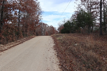 Ozarks Wooded Acreage With Road Frontage For Sale - image 2