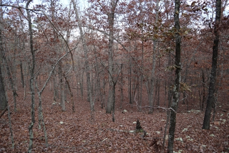 Ozarks Wooded Acreage With Road Frontage For Sale - image 21