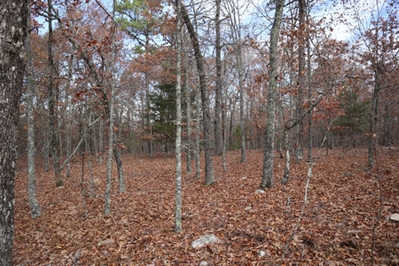 Ozarks Wooded Acreage With Road Frontage For Sale - image 17