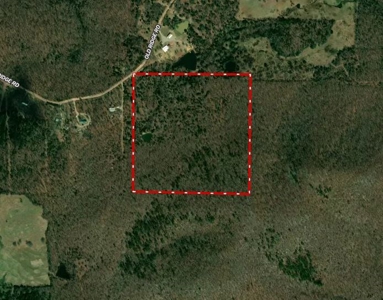 Ozarks Wooded Acreage With Road Frontage For Sale - image 32