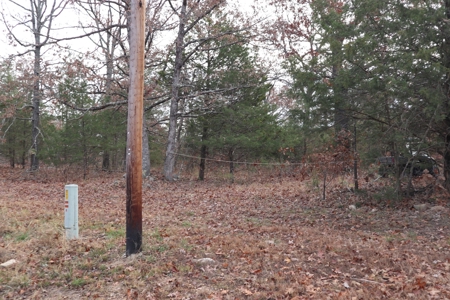 Ozarks Wooded Acreage With Road Frontage For Sale - image 3