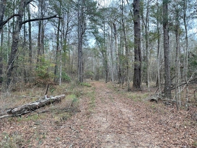 Shady Grove Hunters Retreat - image 17