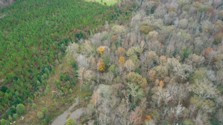 Shady Grove Hunters Retreat - image 8
