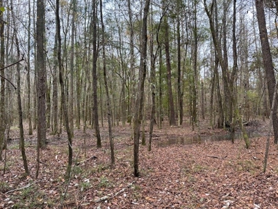 Shady Grove Hunters Retreat - image 25