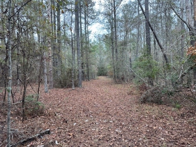 Shady Grove Hunters Retreat - image 38