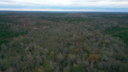 Shady Grove Hunters Retreat - image 7