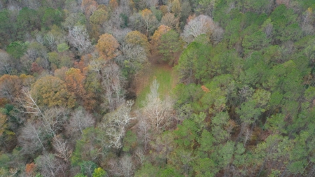 Shady Grove Hunters Retreat - image 6