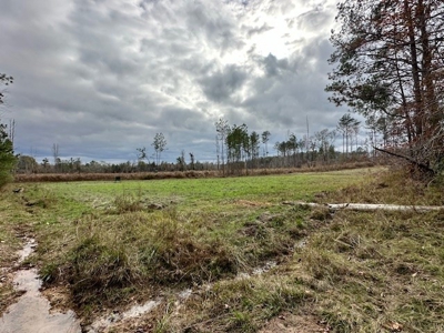 Shady Grove Hunters Retreat - image 10