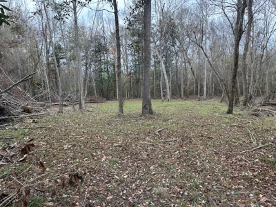 Shady Grove Hunters Retreat - image 44