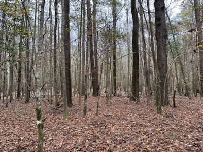 Shady Grove Hunters Retreat - image 32