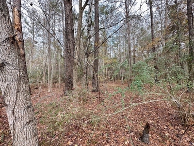 Shady Grove Hunters Retreat - image 13