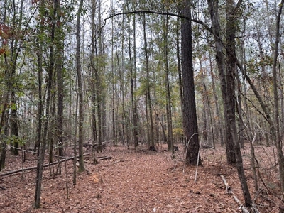 Shady Grove Hunters Retreat - image 28