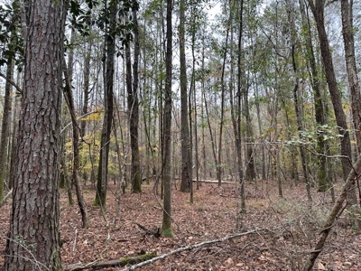Shady Grove Hunters Retreat - image 31