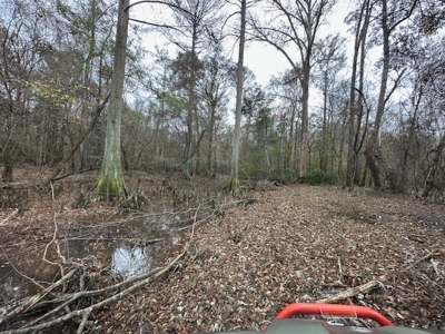 Shady Grove Hunters Retreat - image 40
