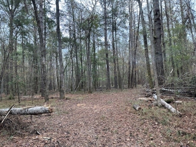 Shady Grove Hunters Retreat - image 23