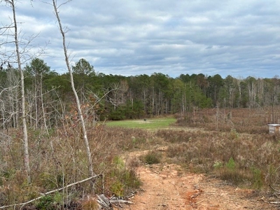 Shady Grove Hunters Retreat - image 50