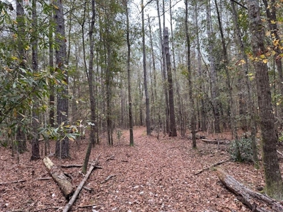 Shady Grove Hunters Retreat - image 27