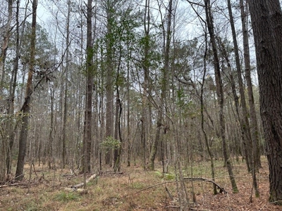 Shady Grove Hunters Retreat - image 21