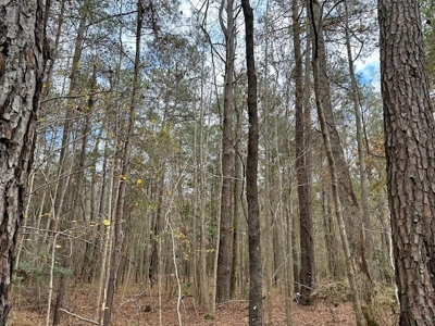 Shady Grove Hunters Retreat - image 15