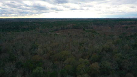 Shady Grove Hunters Retreat - image 9