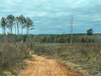 Shady Grove Hunters Retreat - image 49