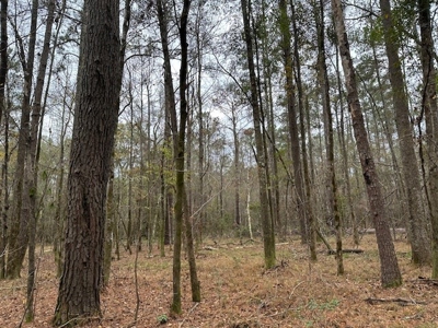 Shady Grove Hunters Retreat - image 22