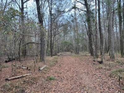 Shady Grove Hunters Retreat - image 20
