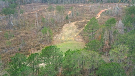 Shady Grove Hunters Retreat - image 3