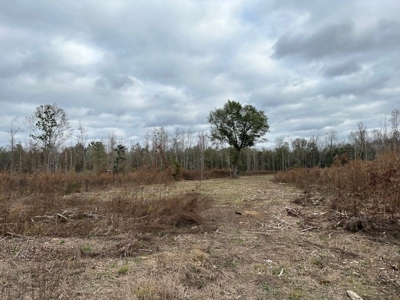 Shady Grove Hunters Retreat - image 45