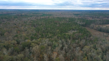 Shady Grove Hunters Retreat - image 4