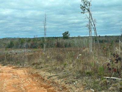 Shady Grove Hunters Retreat - image 48