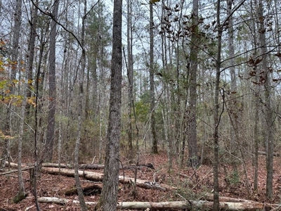 Shady Grove Hunters Retreat - image 35