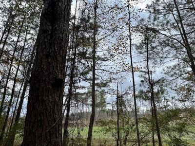 Shady Grove Hunters Retreat - image 16
