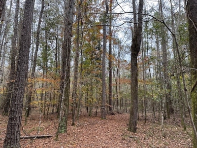 Shady Grove Hunters Retreat - image 30