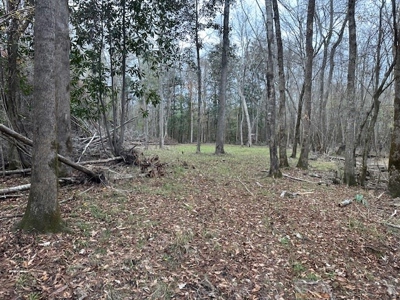 Shady Grove Hunters Retreat - image 43