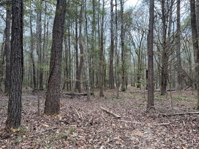 Shady Grove Hunters Retreat - image 34