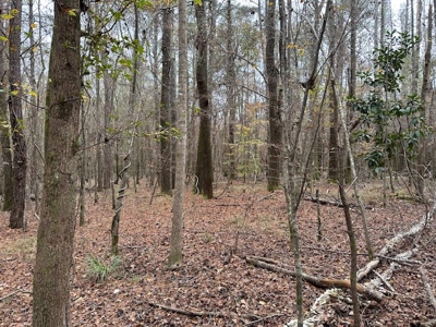 Shady Grove Hunters Retreat - image 33