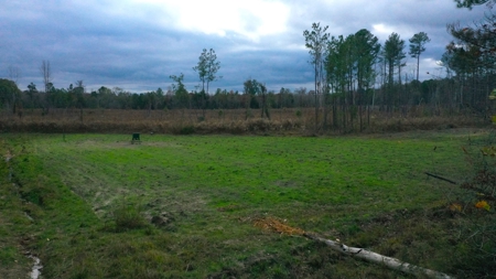 Shady Grove Hunters Retreat - image 1