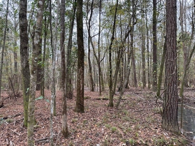 Shady Grove Hunters Retreat - image 24