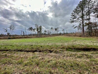 Shady Grove Hunters Retreat - image 12